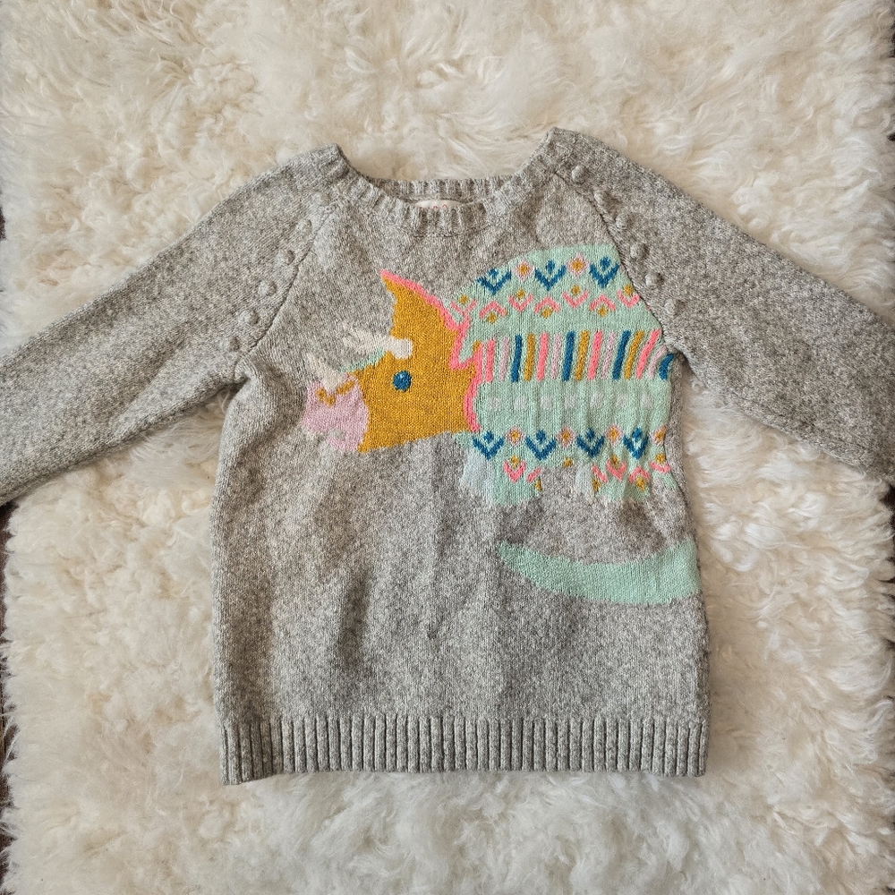 Dinosaur sweater - Picture 1 of 6